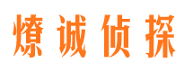 镇沅市侦探公司